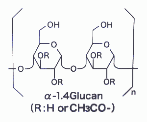 α-1.4Glucan