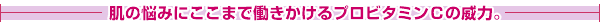 肌の悩みにここまで働きかけるプロビタミンCの威力