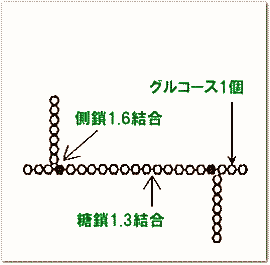 パン酵母のβグルカン 図1