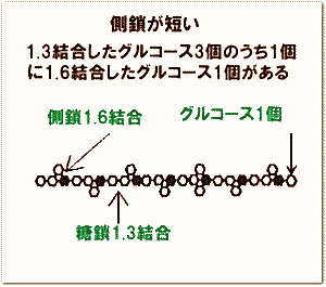 キノコのβグルカン 図4