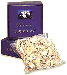 大地のキノコ(アガリクス)