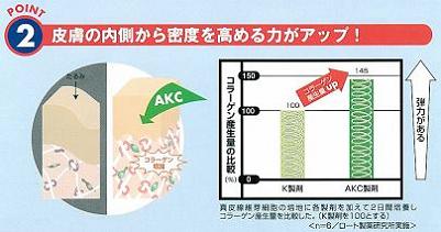 ポイント2皮膚の内側から密度を高める力がアップ!