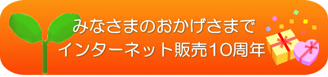 おかげさまでインターネット販売10周年