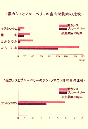 黒カシスとブルーベリーの比較表