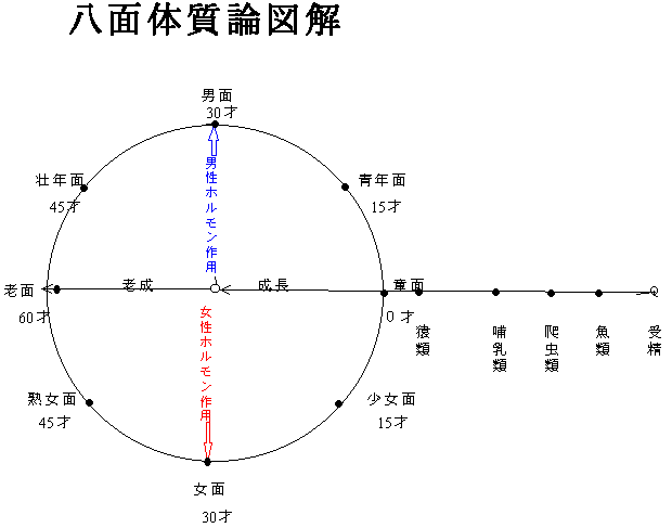 八面体質論図解