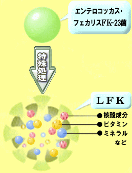 LFKはエンテロコッカス・フェカリスFK-23菌を特殊処理し菌体内にある成分を抽出したものです。