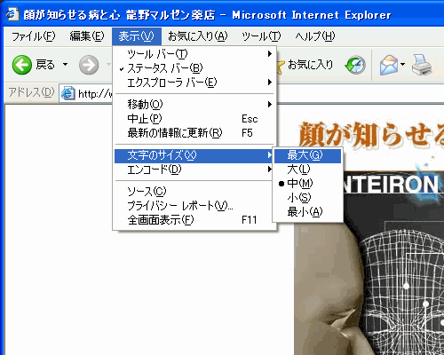 ツールバーの表示→文字のサイズでサイズを選択できます。