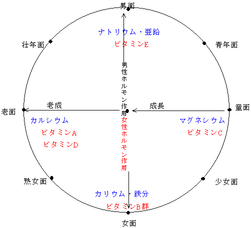 八面とミネラル及びビタミン類の関係