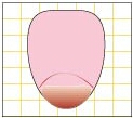 図２