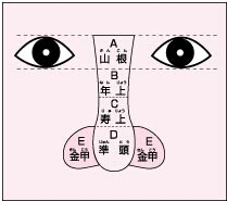 鼻の部分の呼び名