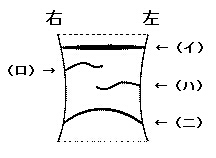 山根の大図