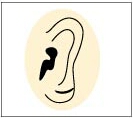 図３