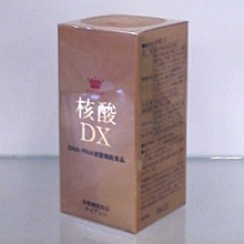 核酸DX