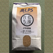 藍藻育ち(高LPS)こしひかり玄米